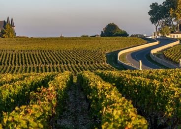restaurant route des vins chenove